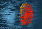 Siphiwo Consulting Services -